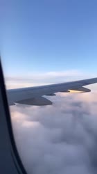 590x1048