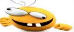 1080x467