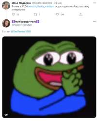 590x729