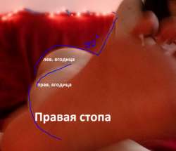543x469