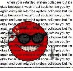 500x484