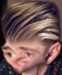 345x415