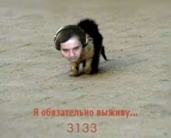 604x489