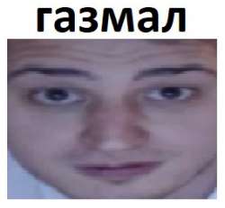 283x262