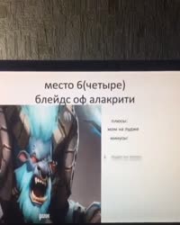 480x600