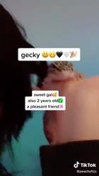 576x1024