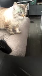 640x1136