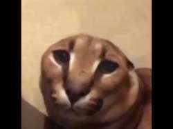 480x360