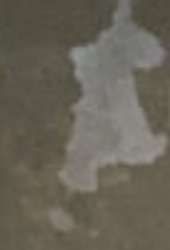 240x351