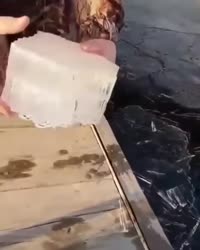 576x720