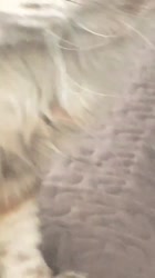 640x1136