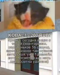 270x337