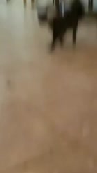 280x500