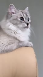 640x1136
