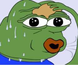 450x376