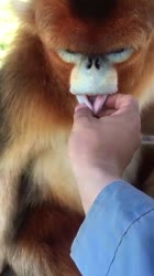 360x640
