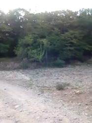 360x480