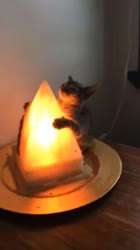 406x720