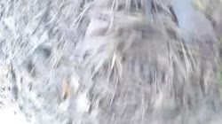 640x360