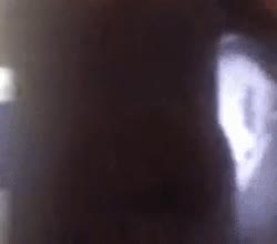 300x264