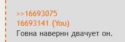 244x83