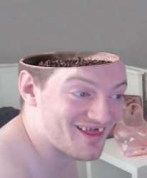 356x429