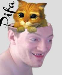 356x429