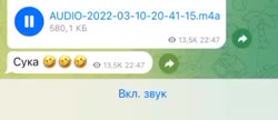 480x208