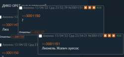 536x248