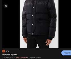 508x423