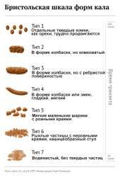 500x734