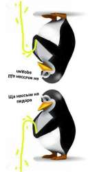533x1037