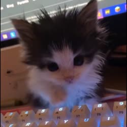 480x480
