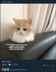433x553