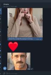 499x730
