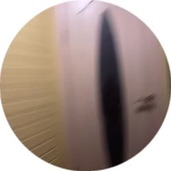 384x384