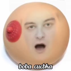320x320