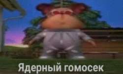 1000x606