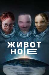 508x782