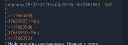 1242x440