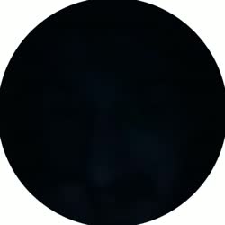 384x384