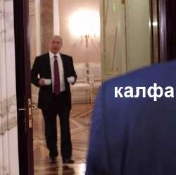 421x419