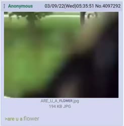 720x730