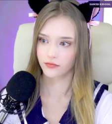 529x584