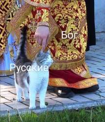 847x978