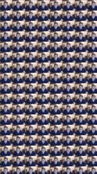 480x854