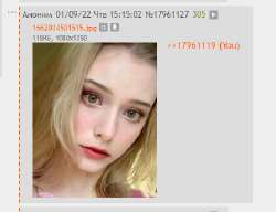 443x341