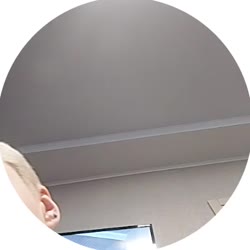 384x384