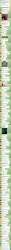 1048x21901