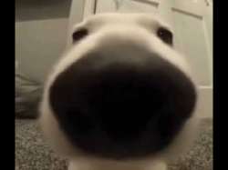 480x360